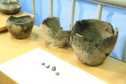 Археологические находки студентов ВГСПУ будут переданы на хранение в Государственный исторический музей