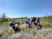 Студенты ВГСПУ приняли участие в тематической экскурсии «Редкие и охраняемые растения Волгоградской области»