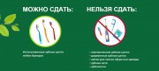 ВГСПУ присоединился ко Всероссийскому экологическому единому дню действий «Щетка, сдавайся!»