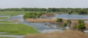 «Современное состояние «малых» особо охраняемых природных территорий Волгоградской области»
