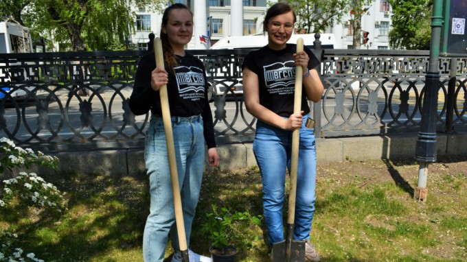 Студенты ВГСПУ приняли участие в акции «Высадим вместе зеленую историю»